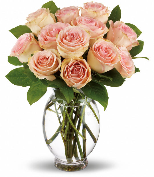 Delicate Dozen - Same Day Flower Delivery