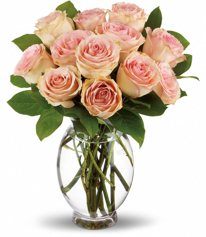 Delicate Dozen - Same Day Flower Delivery