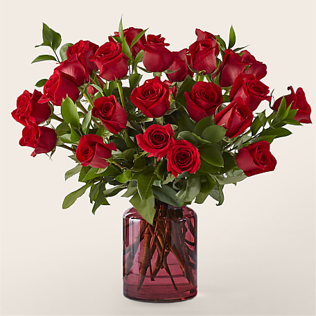Proflowers Flower Delivery Two Dozen Red Roses Bouquet with