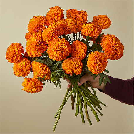 Marigold bouquet shop