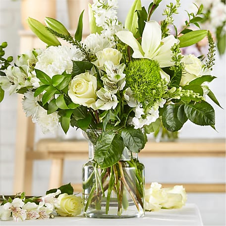 肌触りがいい Ivory Classic - Directory Flowers The – Original Florist A 衛生・清拭