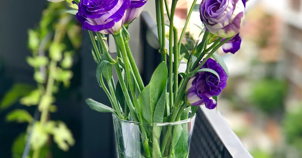 How Much Are Funeral Flowers?